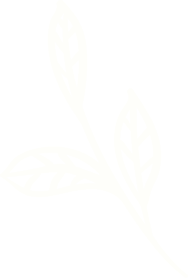 banner-leaf-left