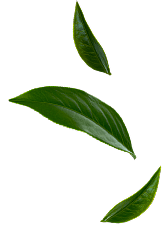banner-leaf