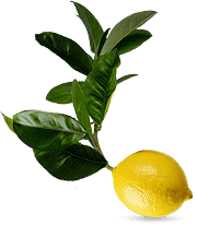 banner-lemon-2