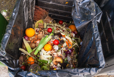 food waste removal service