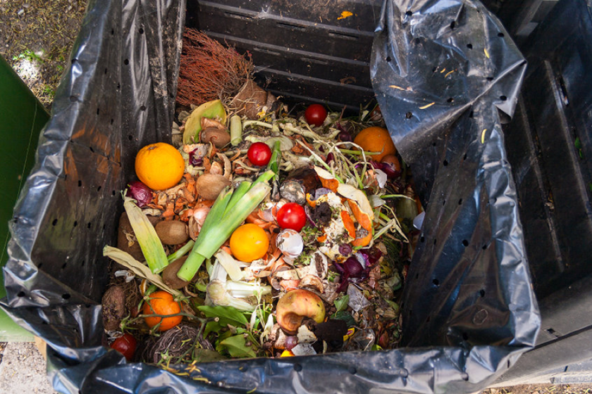 food waste removal service